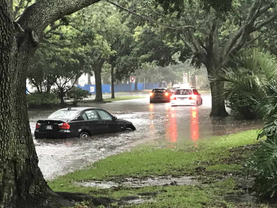 Cars driving on a flooded street in Savannah, Georgia. The murky water has completely covered the asphalt and has begun to bleed into the grasses along the side of the street. The water nearly reaches the top of a car's tires.